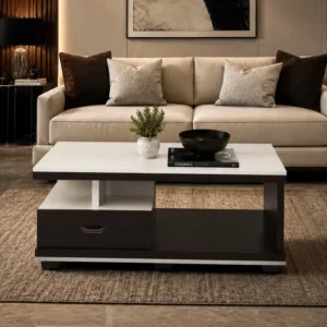 Contemporary Multi-Storage Coffee Table