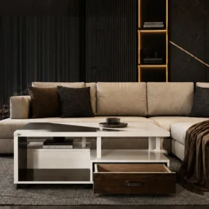 Luxe Glass & Wood Storage Coffee Table